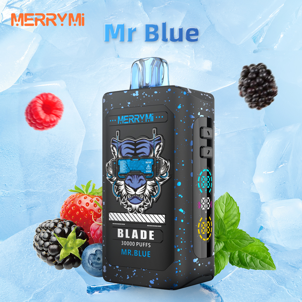 🔵 Mr Blue